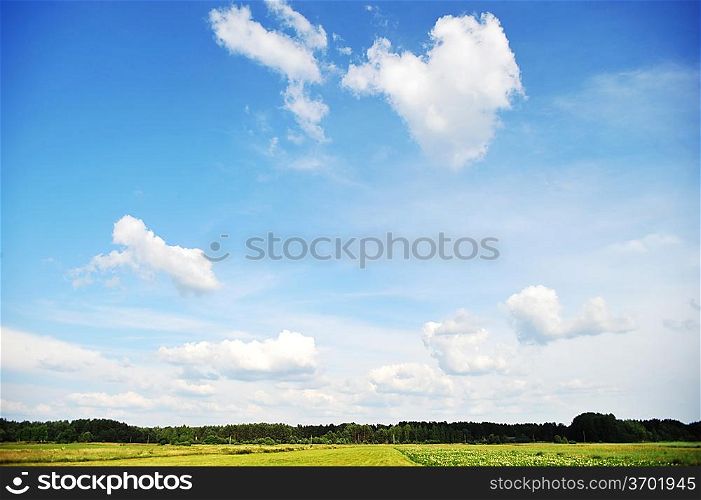 sky , clouds and trees. summer landscape