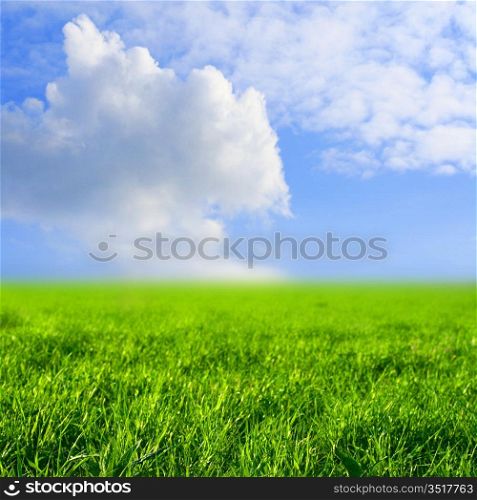 sky grass field nature background