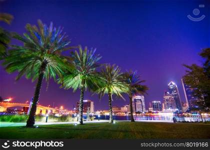 skyline and river coast scenes in Jacksonville Florida