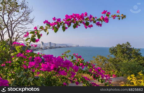 Skyline of Hua Hin from Khao Takiab Temple. Skyline of Hua Hin from Khao Takiab Temple.