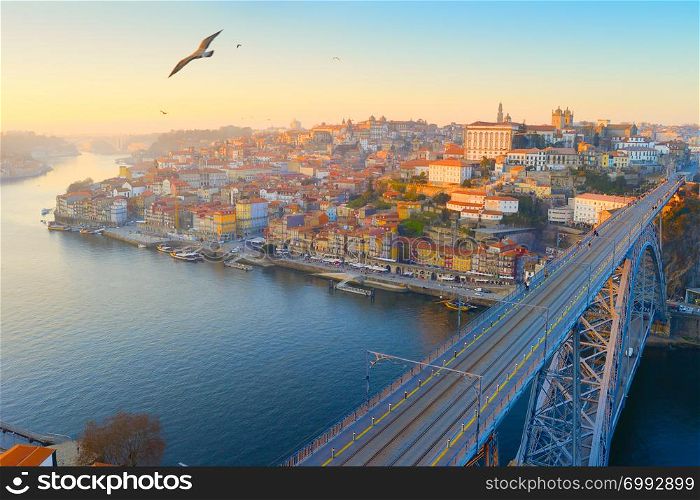 Skyline of Porto Old Town with flying seagulls. Portugal