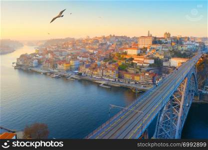 Skyline of Porto Old Town with flying seagulls. Portugal