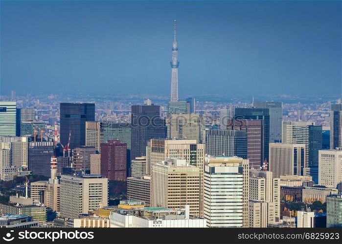 Skyline of Tokyo Cityscape with Tokyo Skytree, Japan