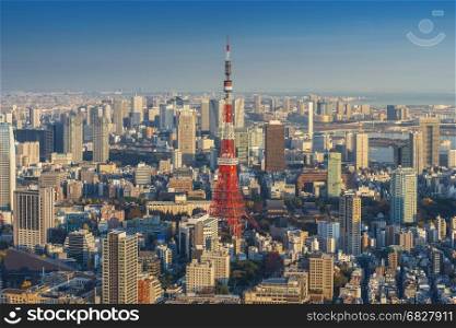 Skyline of Tokyo Cityscape with Tokyo Tower at sunset, Japan