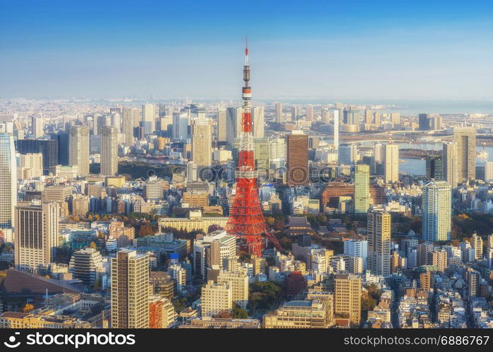 Skyline of Tokyo Cityscape with Tokyo Tower at sunset, Japan