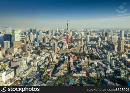 Skyline of Tokyo Cityscape with Tokyo Tower, Japan