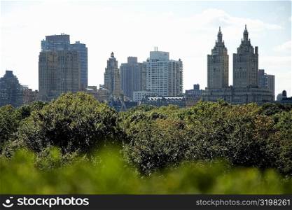 Skyscrapers behind trees, New York City, New York State, USA