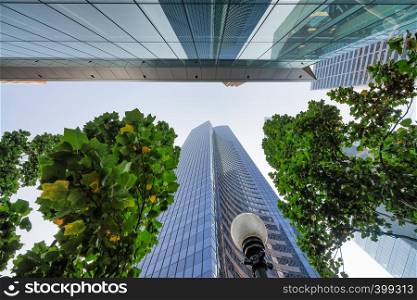 Skyscrapers surrounded by trees, skyward view. Business and corporate concept.