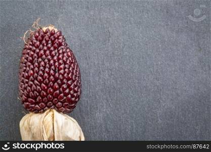 slate stone background with an ear of decorative strawberry corn and copy space