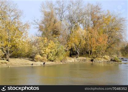 Slavyansk-na-Kubani, Russia - September 9, 2016: Fishermen on the bank of the river in autumn. Fishing the bait. Autumn scenery on the river.. Fishermen on the bank of the river in autumn. Fishing the bait.
