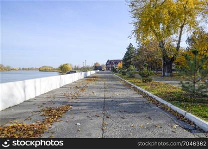Slavyansk-na-Kubani, Russia - September 9, 2016: The path strewn with autumn yellow leaves of trees. Autumn alley.. The path strewn with autumn yellow leaves of trees. Autumn alley