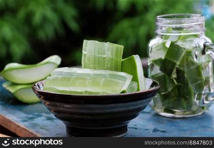 Slice from aloe vera leaf, a kind of botany, herb medicine that useful for health as skin care, organic cosmetic, antimicrobial....