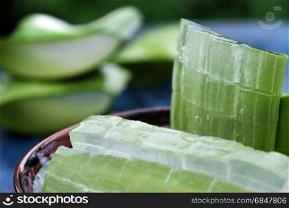 Slice from aloe vera leaf, a kind of botany, herb medicine that useful for health as skin care, organic cosmetic, antimicrobial....