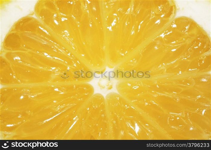 Slice lemon extreme close up