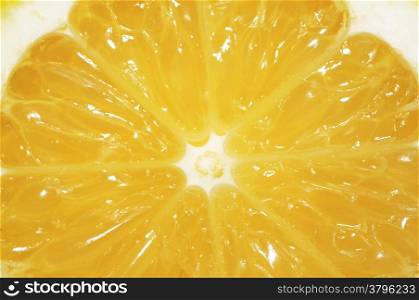 Slice lemon extreme close up