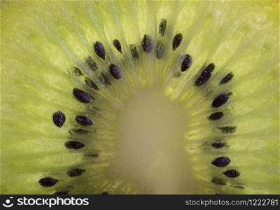 Slice of fresh ripe kiwi. Green fruit, top view. Half of kiwi. Vegan or vegetarian healthy food, diet concept. Vitamin C.