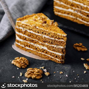 Slice of honey cake close up