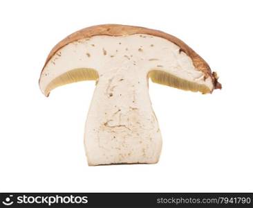 Slice of mushroom isolated on white background