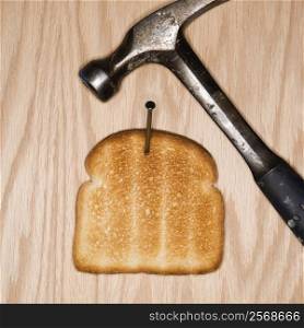 Slice of toast nailed to wood with hammer.