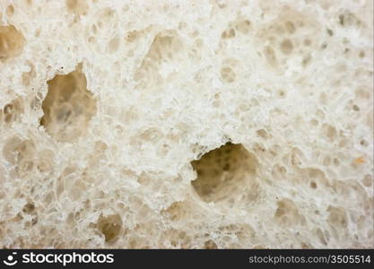 slice of white bread texture macro