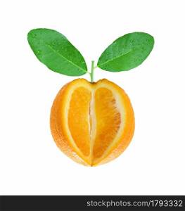 Sliced fresh mandarin oranges with green leaves have dew water isolated on white background and have clipping paths.
