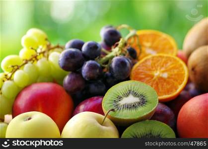 sliced kiwis, oranges, grappes, peaches and plums