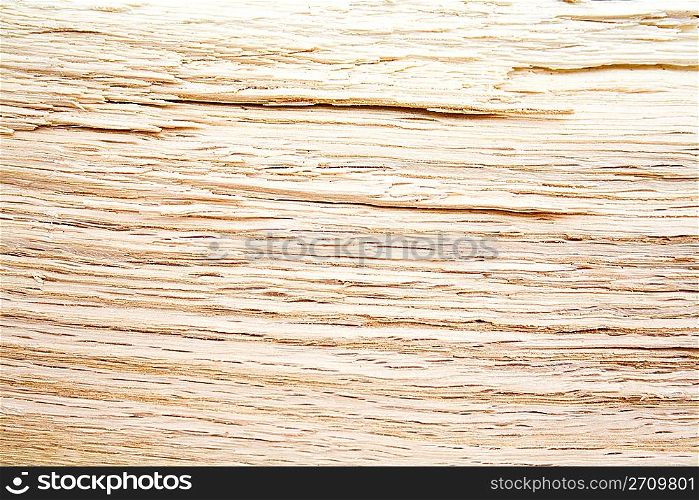 Sliced oak background