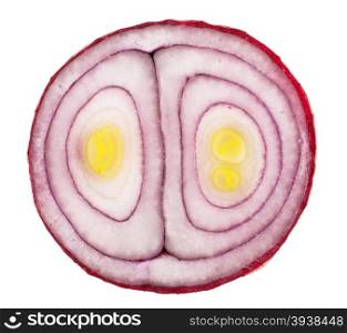 Sliced ??red onion. Macro