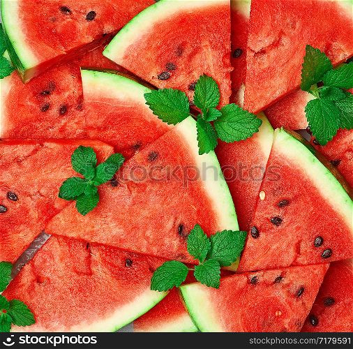 sliced triangular slices of ripe red watermelon with seeds with green mint leaves, bright summer texture backdrop