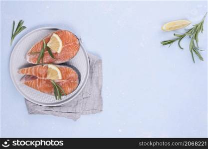 slices salmon copy space