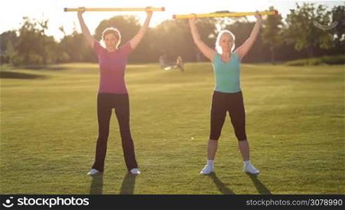 Slim fitness adult women in great shape exercising with body bars on park lawn against colorful landscape background. Beautiful sporty senior female friends doing fitness exercise with weight body bars, lifting them up at sunset.