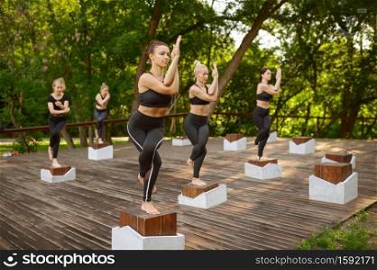 Slim women doing balance exercise on group yoga training in summer park. Meditation, fit class on workout outdoors, relaxation practice. Fitness, active healthy lifestyle. Slim women doing balance exercise, group yoga