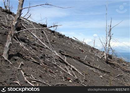 Slope of volcano Krakatau in Indonesia
