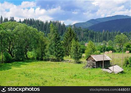 Slopes of mountains and coniferous trees . Rural landscape.