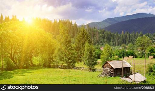 Slopes of mountains, coniferous trees and a bright sunset. Rural landscape. Wide photo.