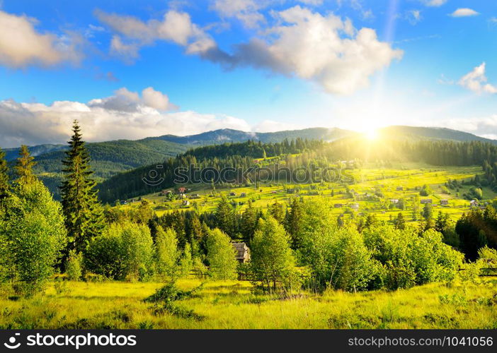 Slopes of mountains, coniferous trees and clouds in the evening sky.