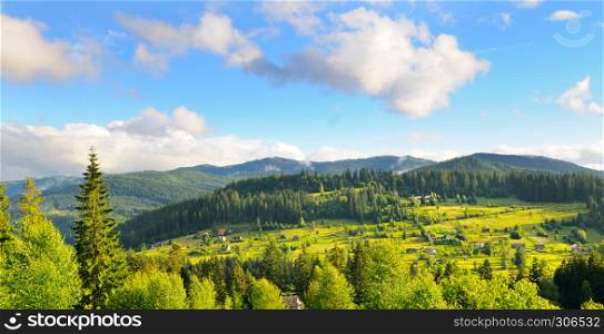 Slopes of mountains, coniferous trees and clouds in the evening sky. Location place Carpathian, Ukraine, Europe. Wide photo .