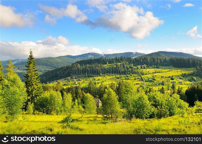 Slopes of mountains, coniferous trees and clouds in the evening sky. Picturesque and gorgeous scene. Location place Carpathian, Ukraine, Europe. Concept ecology protection. Explore the world&rsquo;s beauty.
