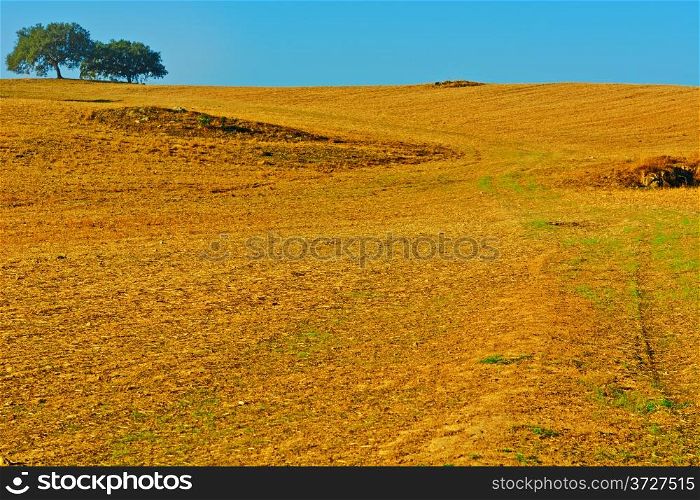 Sloping Hills of Portugal in the Autumn