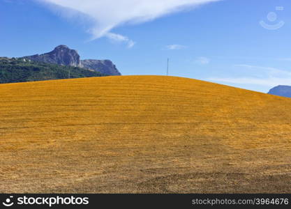 Sloping Hills of Spain in the Autumn