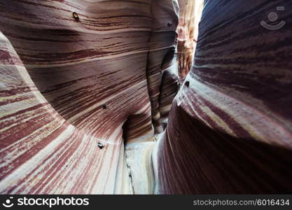 Slot canyon in Grand Staircase Escalante National park, Utah