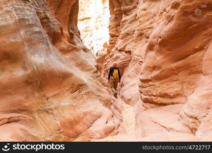 Slot canyon in Grand Staircase Escalante National park, Utah, USA. Unusual colorful sandstone formations in deserts of Utah are popular destination for hikers.