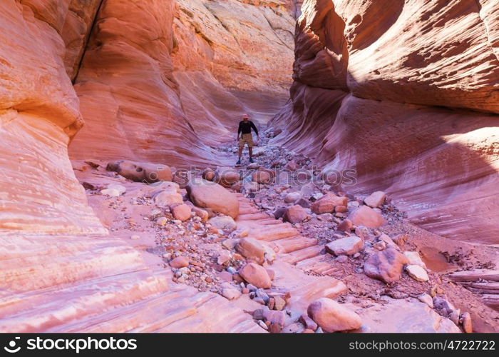 Slot canyon in Grand Staircase Escalante National park, Utah, USA. Unusual colorful sandstone formations in deserts of Utah are popular destination for hikers.