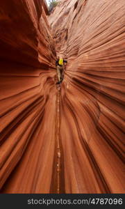 Slot canyon in Grand Staircase Escalante National park, Utah, USA. Unusual colorful sandstone formations in deserts of Utah are popular destination for hikers.