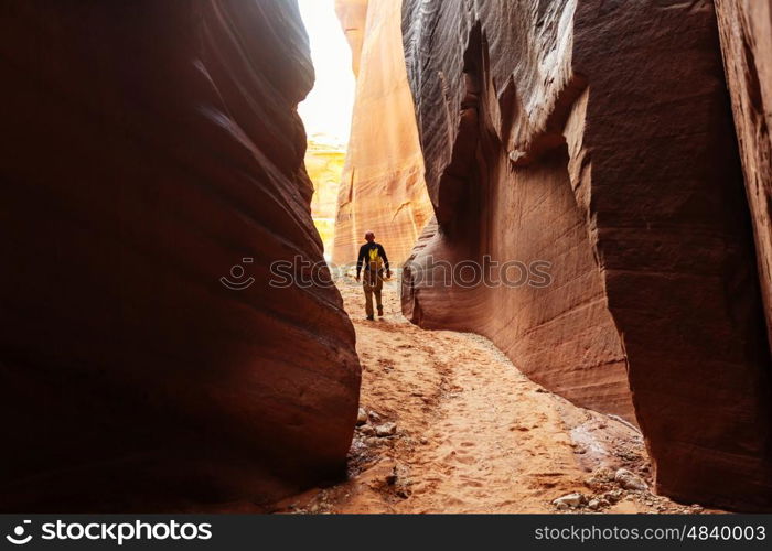 Slot canyon in Grand Staircase Escalante National park, Utah, USA. Unusual colorful sandstone formations in deserts of Utah are popular destination for hikers.