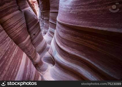 Slot canyon in Grand Staircase Escalante National park, Utah, USA. Unusual colorful sandstone formations in deserts of Utah are popular destination for hikers. Living coral toned.