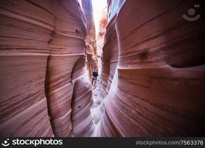 Slot canyon in Grand Staircase Escalante National park, Utah, USA. Unusual colorful sandstone formations in deserts of Utah are popular destination for hikers. Living coral toned.