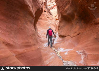 Slot canyon in Grand Staircase Escalante National park, Utah, USA. Unusual colorful sandstone formations in deserts of Utah are popular destination for hikers.