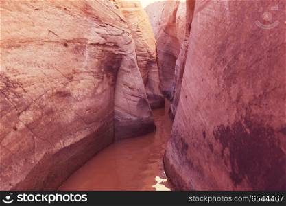 Slot canyon. Slot canyon in Grand Staircase Escalante National park, Utah, USA. Unusual colorful sandstone formations in deserts of Utah are popular destination for hikers.