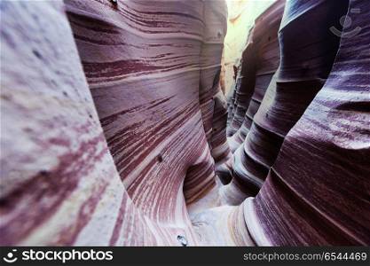 Slot canyon. Slot canyon in Grand Staircase Escalante National park, Utah, USA. Unusual colorful sandstone formations in deserts of Utah are popular destination for hikers.